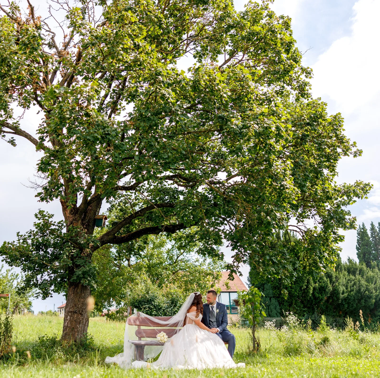 Couple resting on a bench under an old tree in the countryside