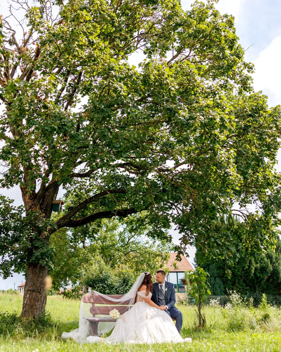 Couple resting on a bench under an old tree